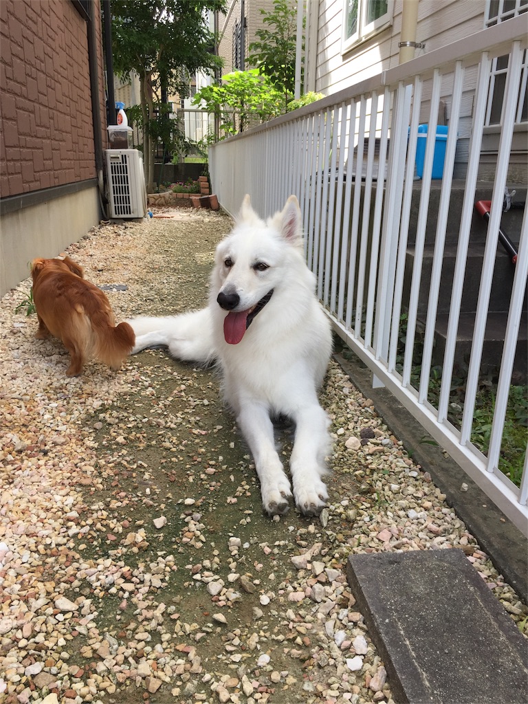 f:id:Lien0927:20180703120227j:image f:id:Lien0927:20180703120227j:image