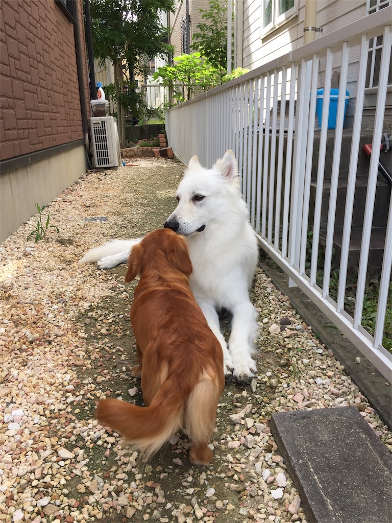 f:id:Lien0927:20180703120239j:image f:id:Lien0927:20180703120239j:image