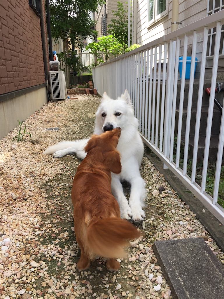 f:id:Lien0927:20180703120243j:image f:id:Lien0927:20180703120243j:image