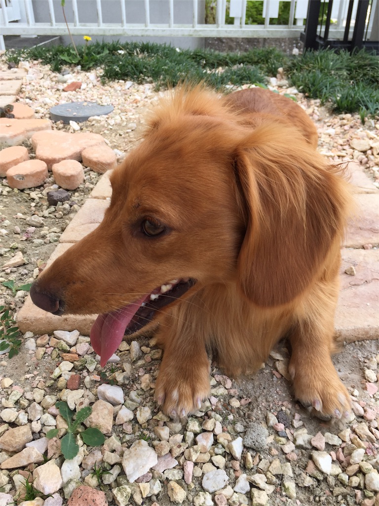 f:id:Lien0927:20180703120424j:image f:id:Lien0927:20180703120424j:image