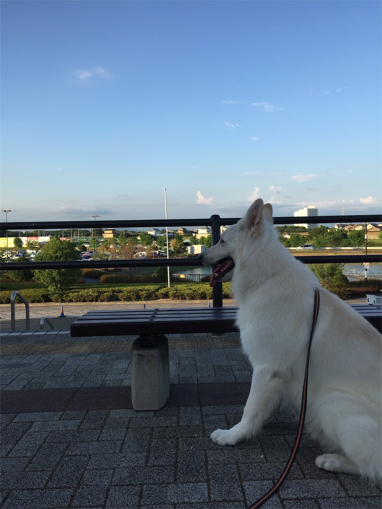 f:id:Lien0927:20180731205637j:image f:id:Lien0927:20180731205637j:image