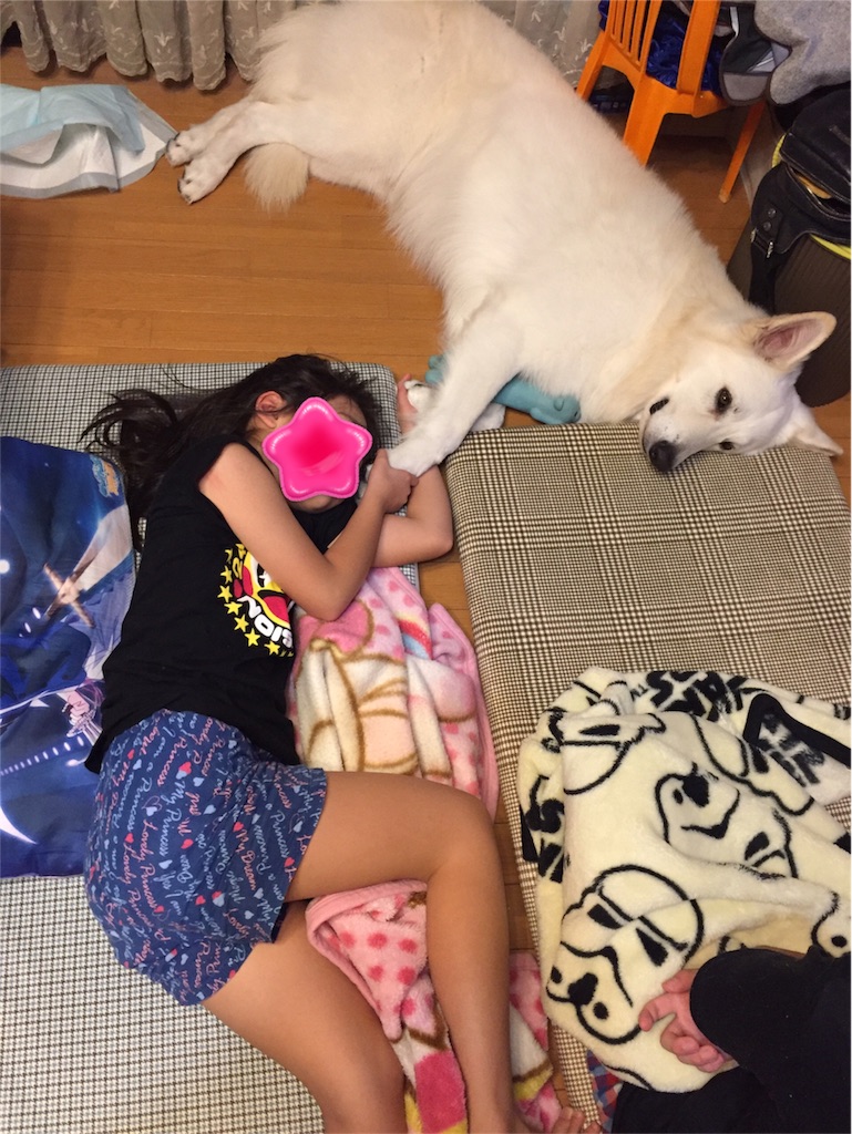 f:id:Lien0927:20180919104959j:image