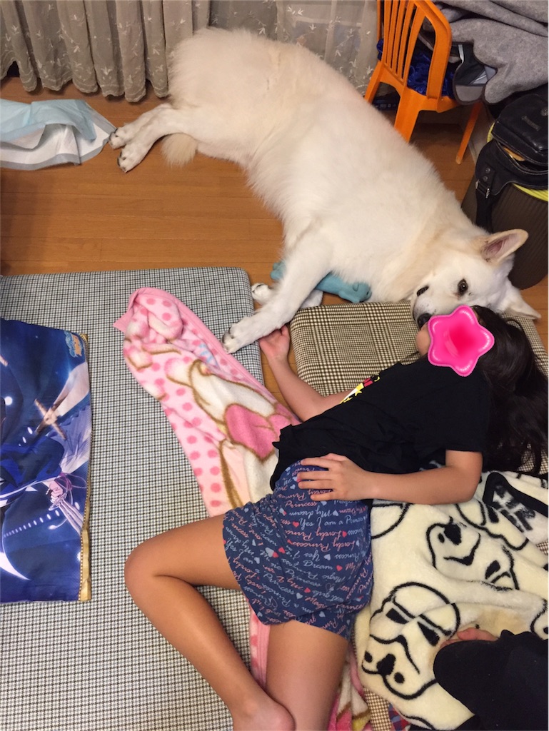 f:id:Lien0927:20180919105135j:image