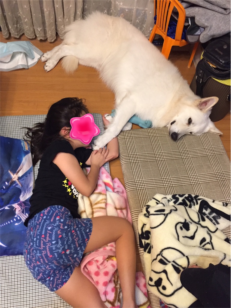 f:id:Lien0927:20180919105138j:image