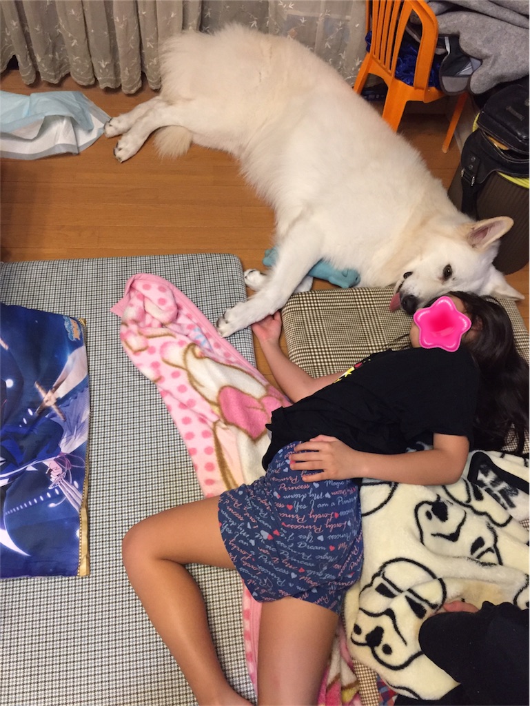 f:id:Lien0927:20180919105334j:image