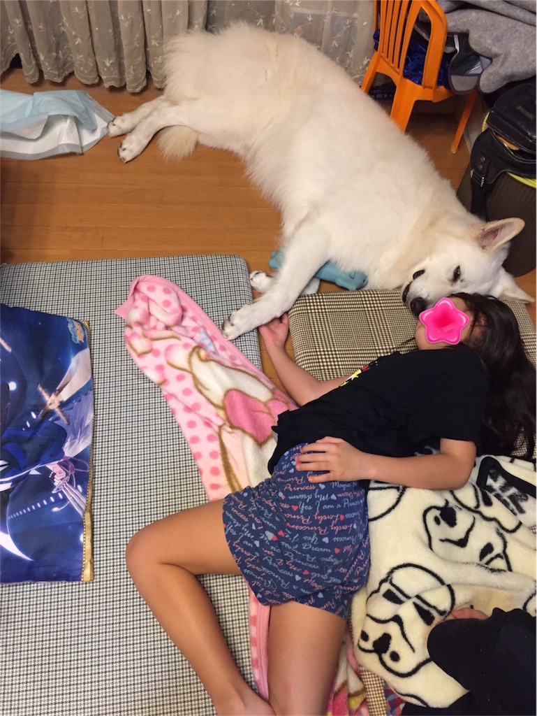 f:id:Lien0927:20180919105421j:image