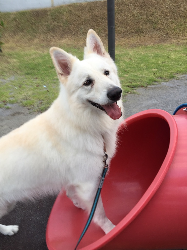 f:id:Lien0927:20180923190216j:image f:id:Lien0927:20180923190216j:image