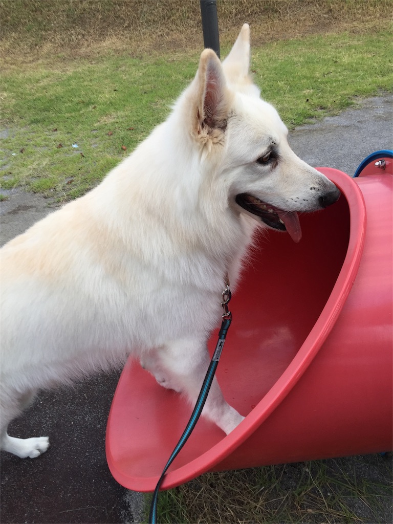 f:id:Lien0927:20180923191958j:image f:id:Lien0927:20180923191958j:image