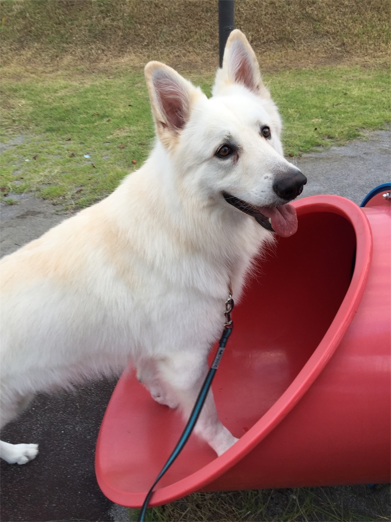 f:id:Lien0927:20180923192041j:image f:id:Lien0927:20180923192041j:image