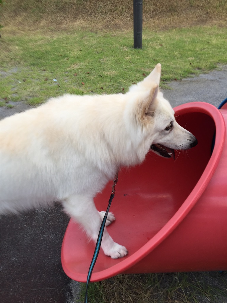 f:id:Lien0927:20180923192152j:image f:id:Lien0927:20180923192152j:image