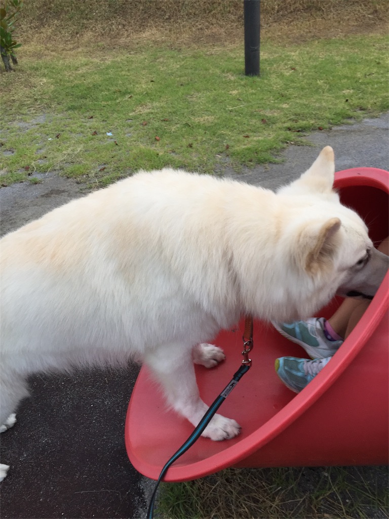 f:id:Lien0927:20180923192228j:image f:id:Lien0927:20180923192228j:image