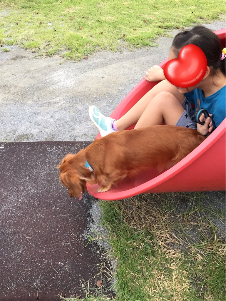 f:id:Lien0927:20180923192332j:image f:id:Lien0927:20180923192332j:image