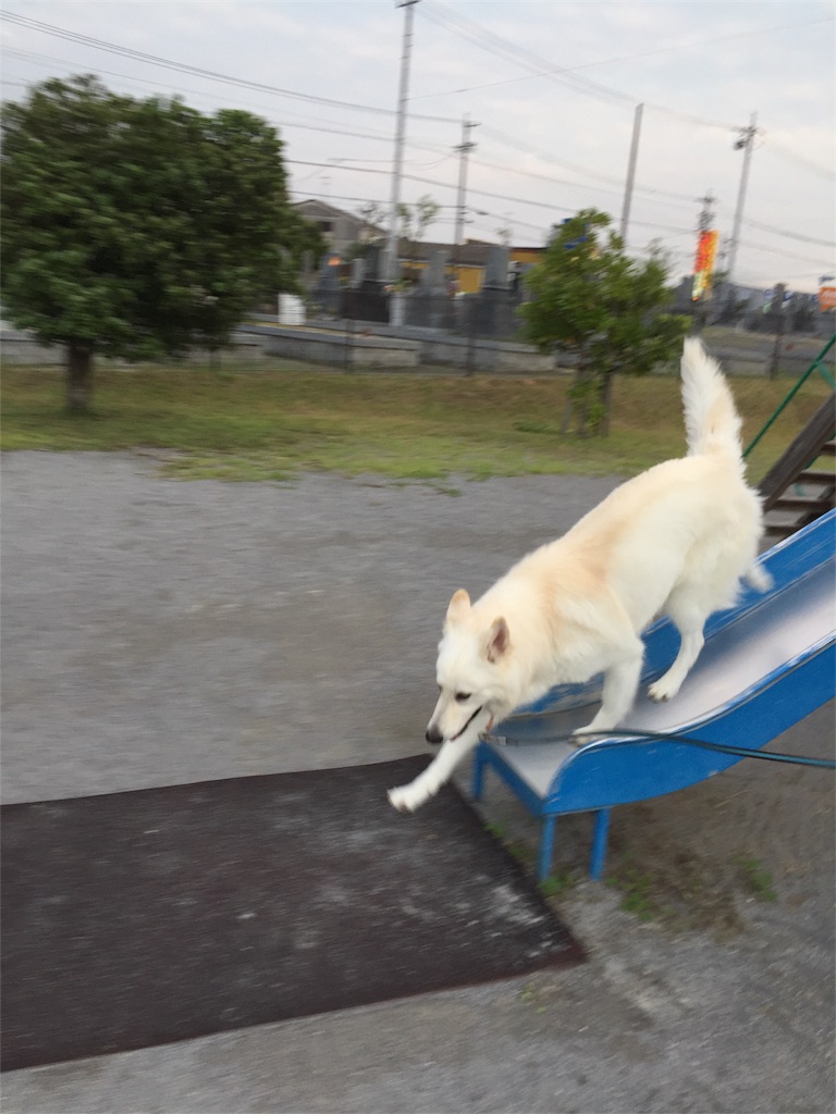 f:id:Lien0927:20180923203135j:image f:id:Lien0927:20180923203135j:image