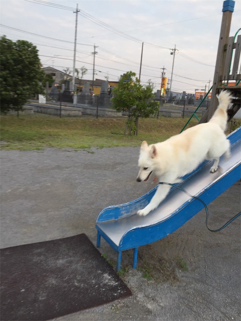 f:id:Lien0927:20180923203142j:image f:id:Lien0927:20180923203142j:image