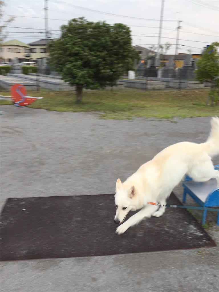 f:id:Lien0927:20180923203146j:image f:id:Lien0927:20180923203146j:image