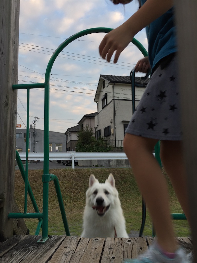 f:id:Lien0927:20180923203426j:image f:id:Lien0927:20180923203426j:image