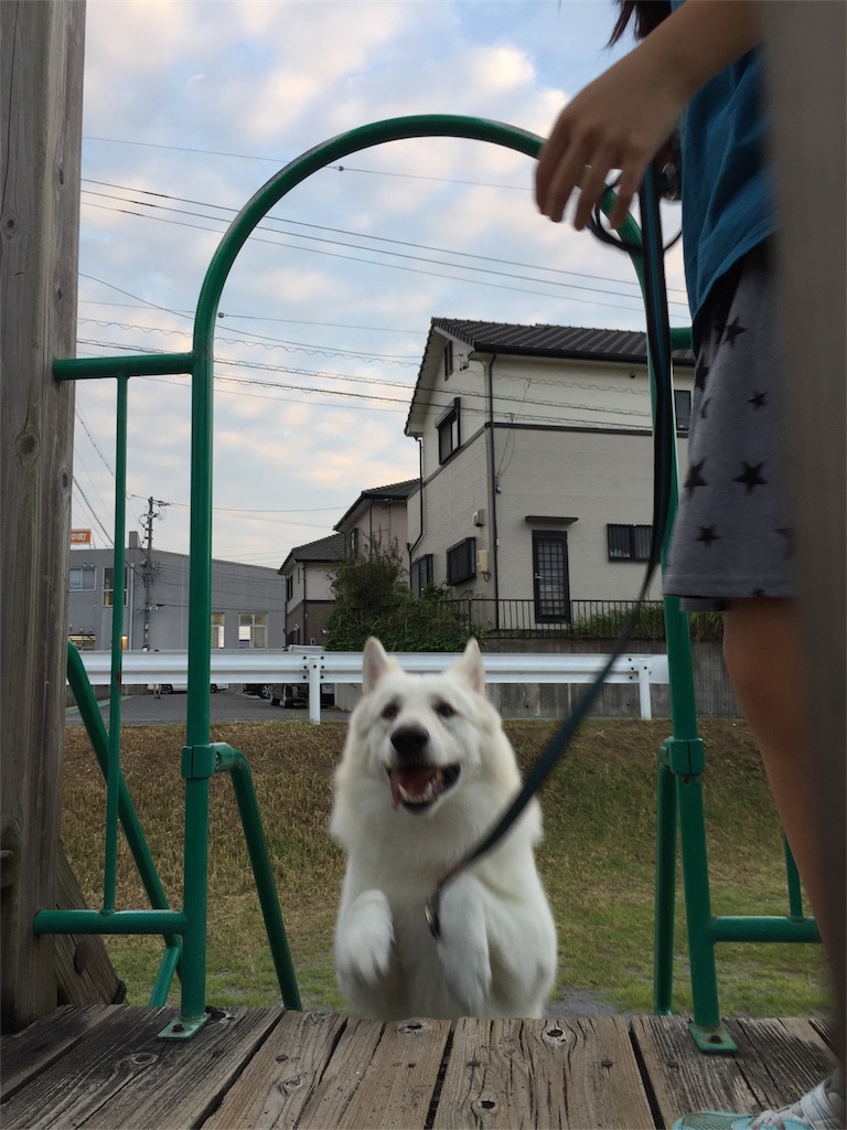 f:id:Lien0927:20180923203435j:image f:id:Lien0927:20180923203435j:image