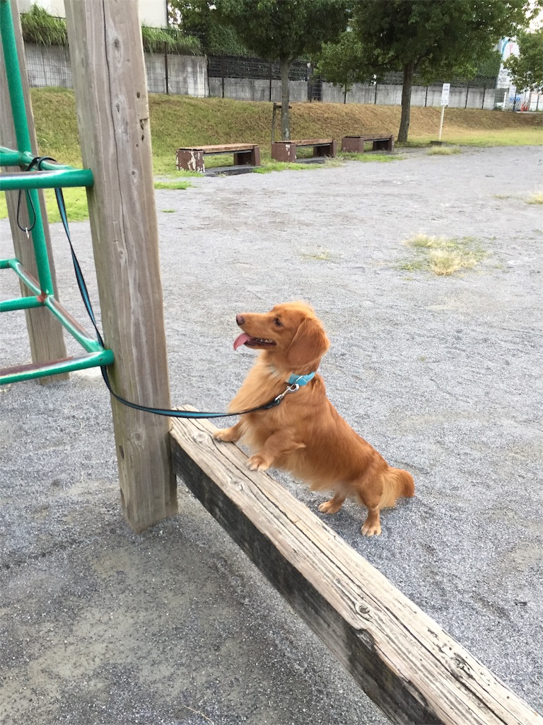 f:id:Lien0927:20180923203543j:image f:id:Lien0927:20180923203543j:image