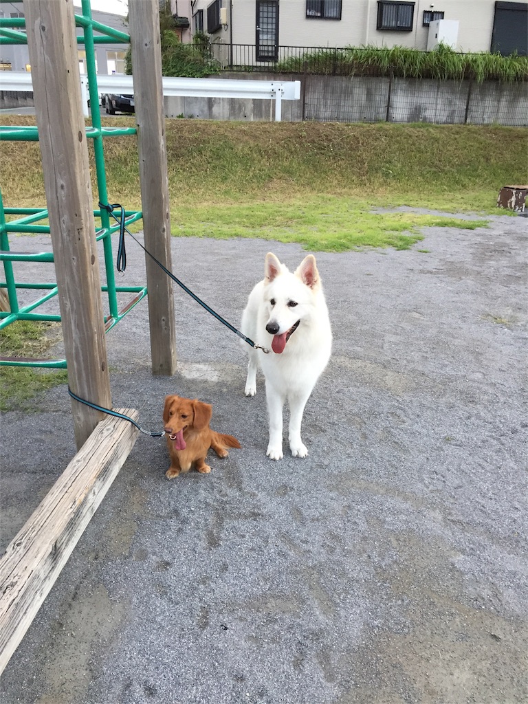 f:id:Lien0927:20180923203835j:image f:id:Lien0927:20180923203835j:image