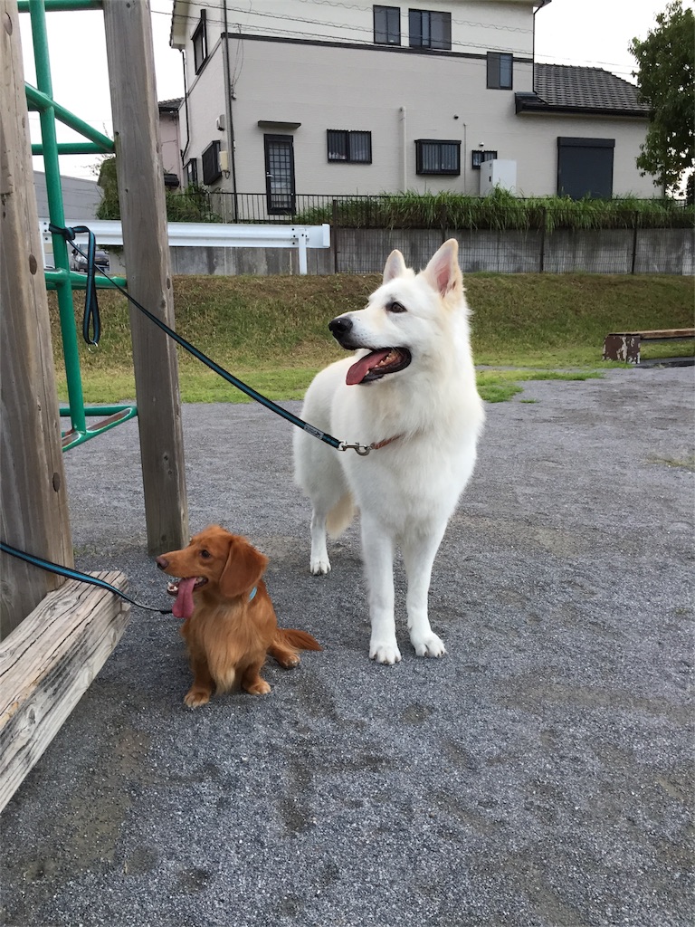 f:id:Lien0927:20180923203839j:image f:id:Lien0927:20180923203839j:image