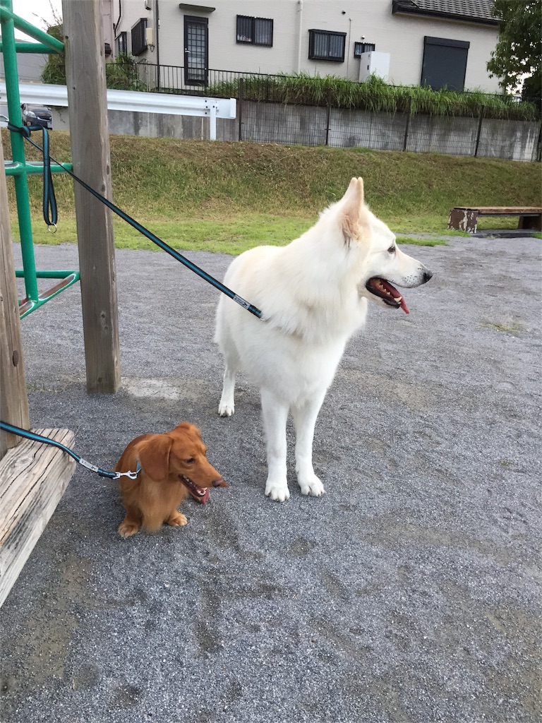 f:id:Lien0927:20180923203843j:image f:id:Lien0927:20180923203843j:image