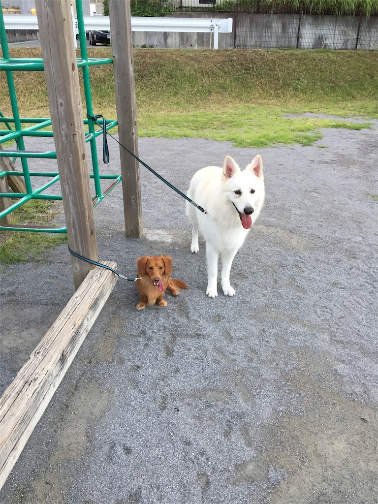 f:id:Lien0927:20180923203848j:image f:id:Lien0927:20180923203848j:image