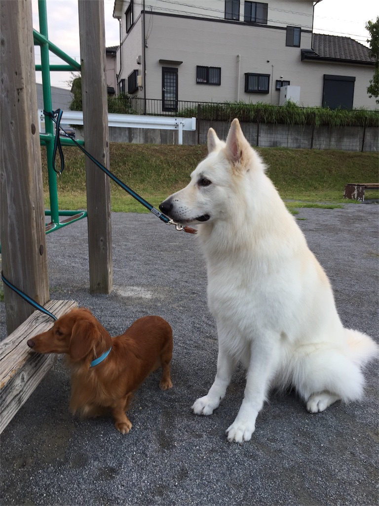 f:id:Lien0927:20180923203941j:image f:id:Lien0927:20180923203941j:image