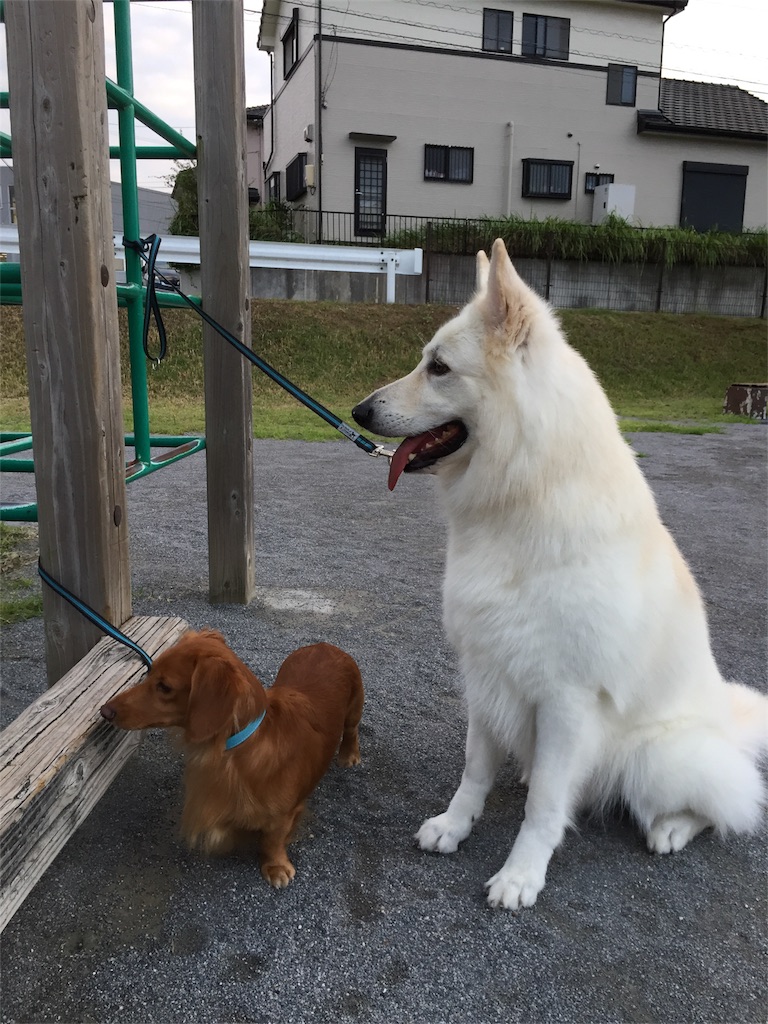 f:id:Lien0927:20180923203946j:image f:id:Lien0927:20180923203946j:image