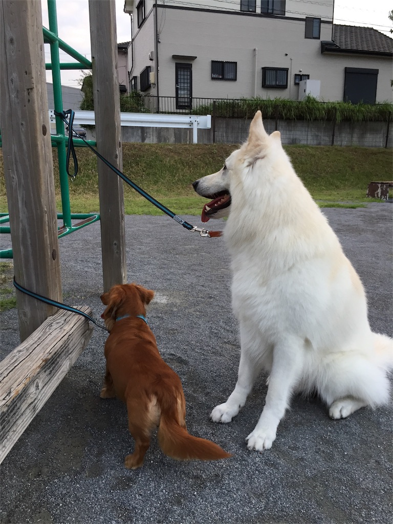 f:id:Lien0927:20180923203950j:image f:id:Lien0927:20180923203950j:image