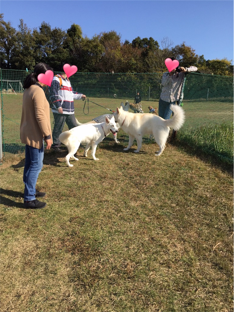 f:id:Lien0927:20181125221259j:image f:id:Lien0927:20181125221259j:image