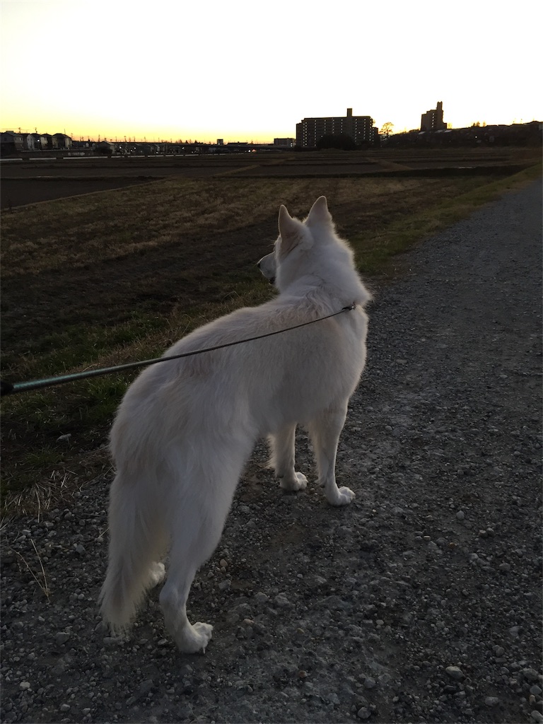 f:id:Lien0927:20181231195458j:image f:id:Lien0927:20181231195458j:image