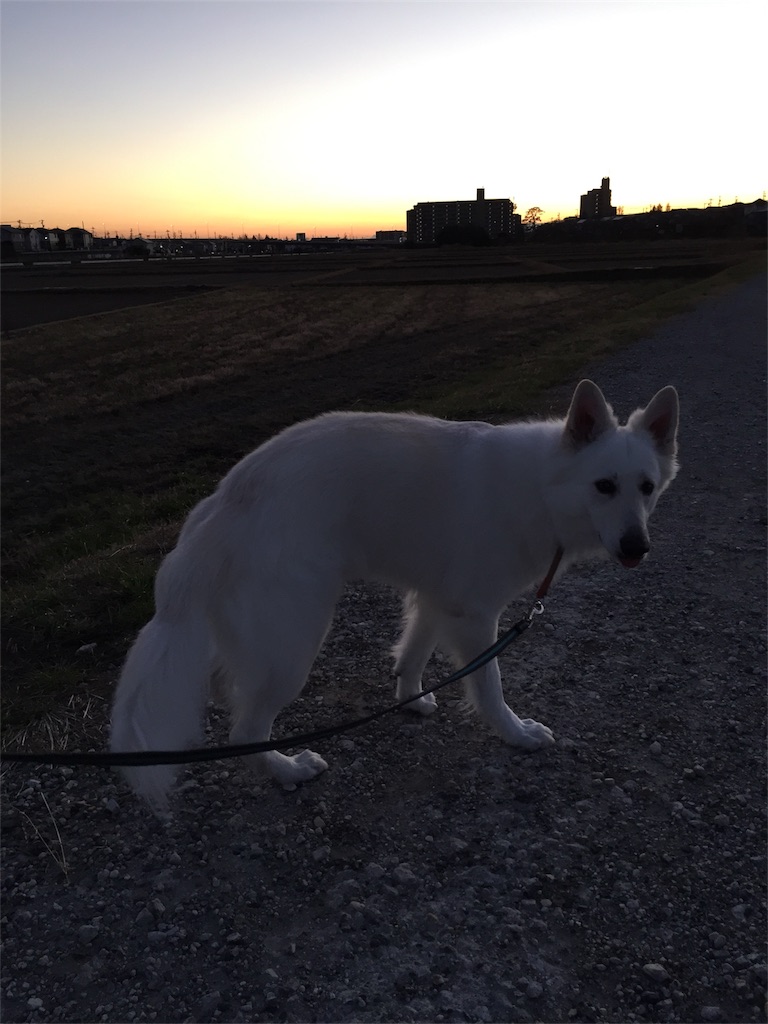 f:id:Lien0927:20181231195559j:image f:id:Lien0927:20181231195559j:image