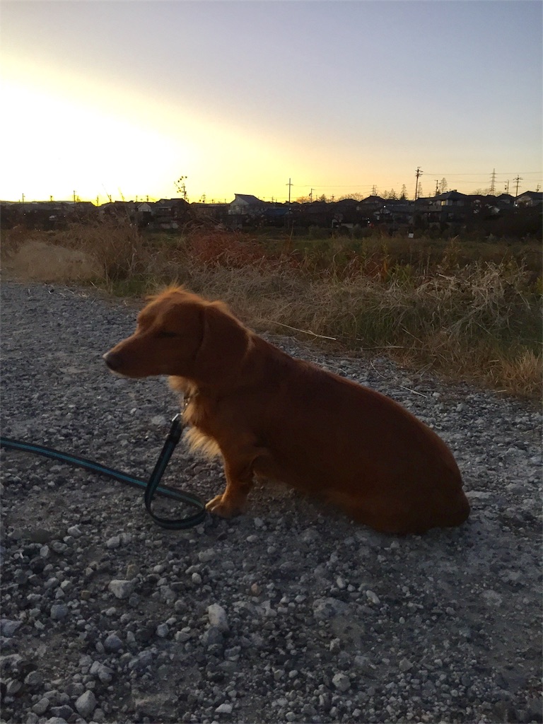 f:id:Lien0927:20181231200325j:image f:id:Lien0927:20181231200325j:image