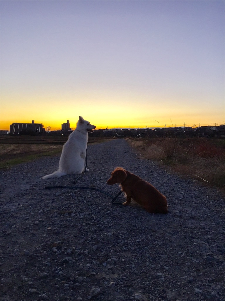 f:id:Lien0927:20181231200330j:image f:id:Lien0927:20181231200330j:image