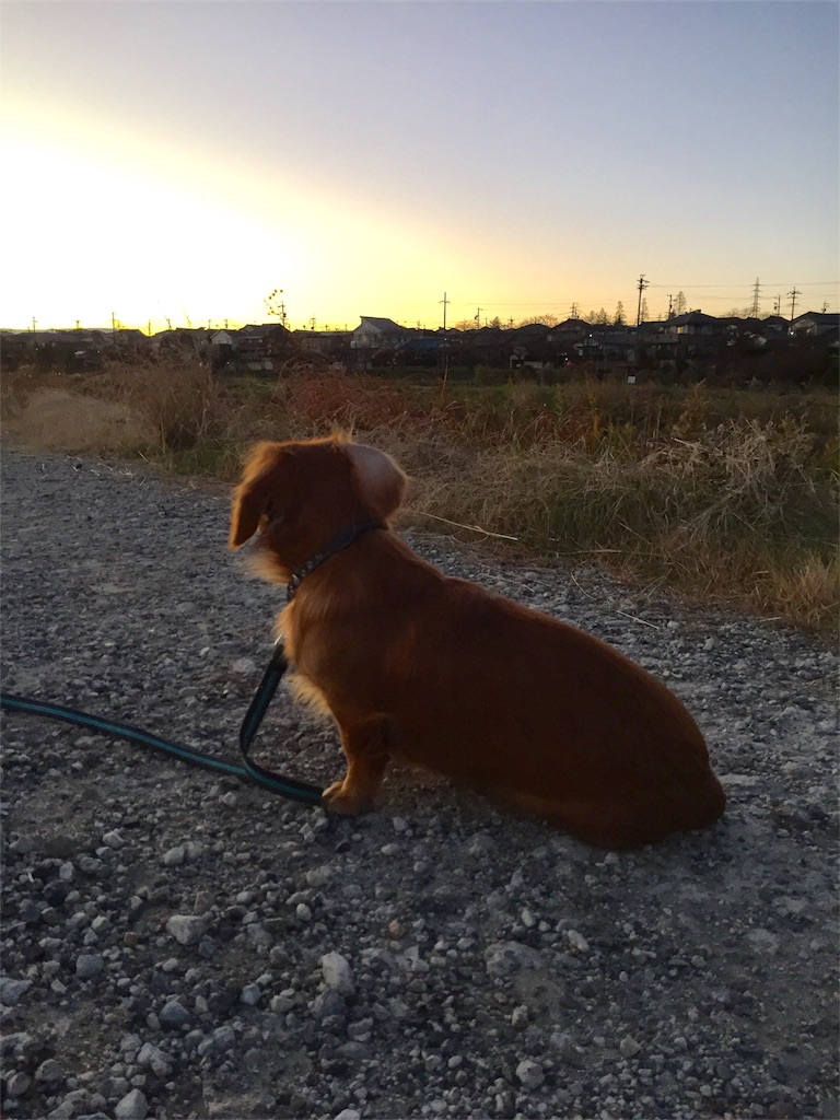 f:id:Lien0927:20181231200334j:image f:id:Lien0927:20181231200334j:image