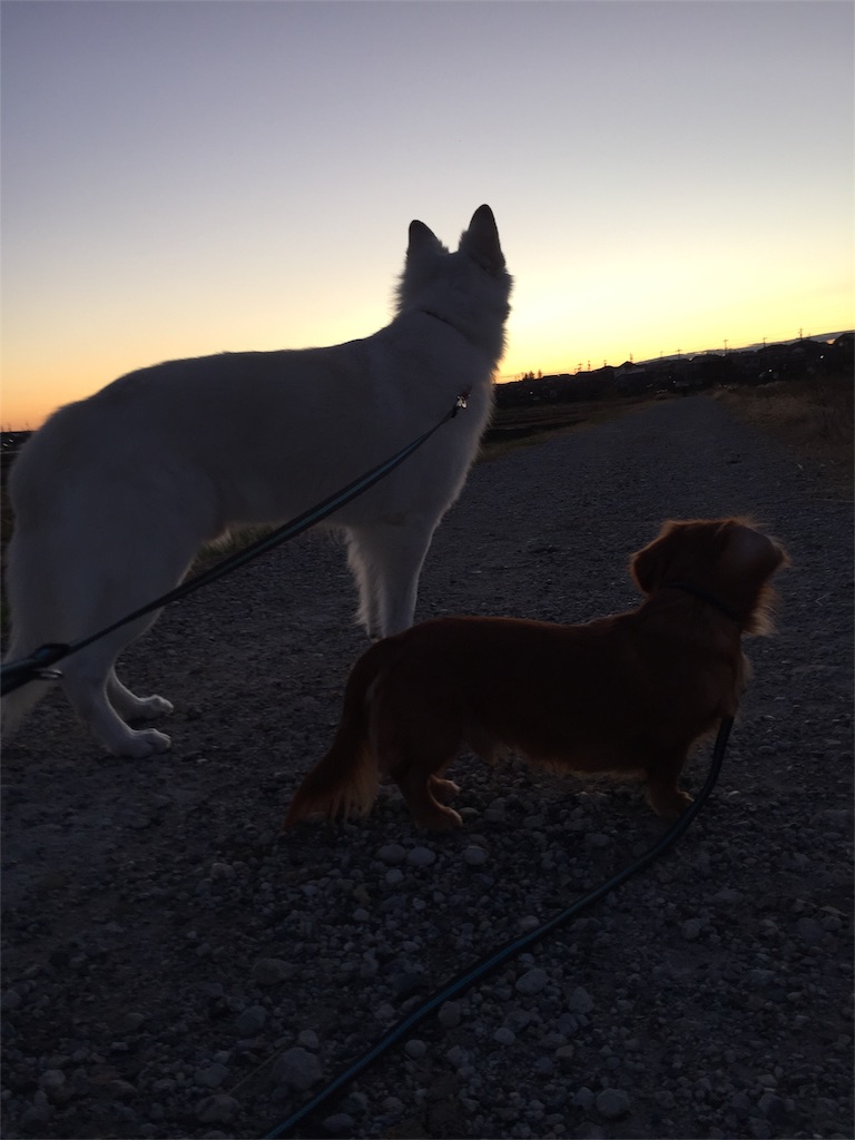 f:id:Lien0927:20181231200342j:image f:id:Lien0927:20181231200342j:image