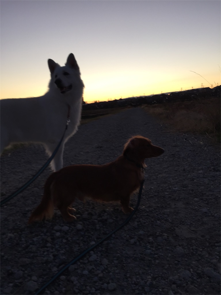 f:id:Lien0927:20181231200345j:image f:id:Lien0927:20181231200345j:image