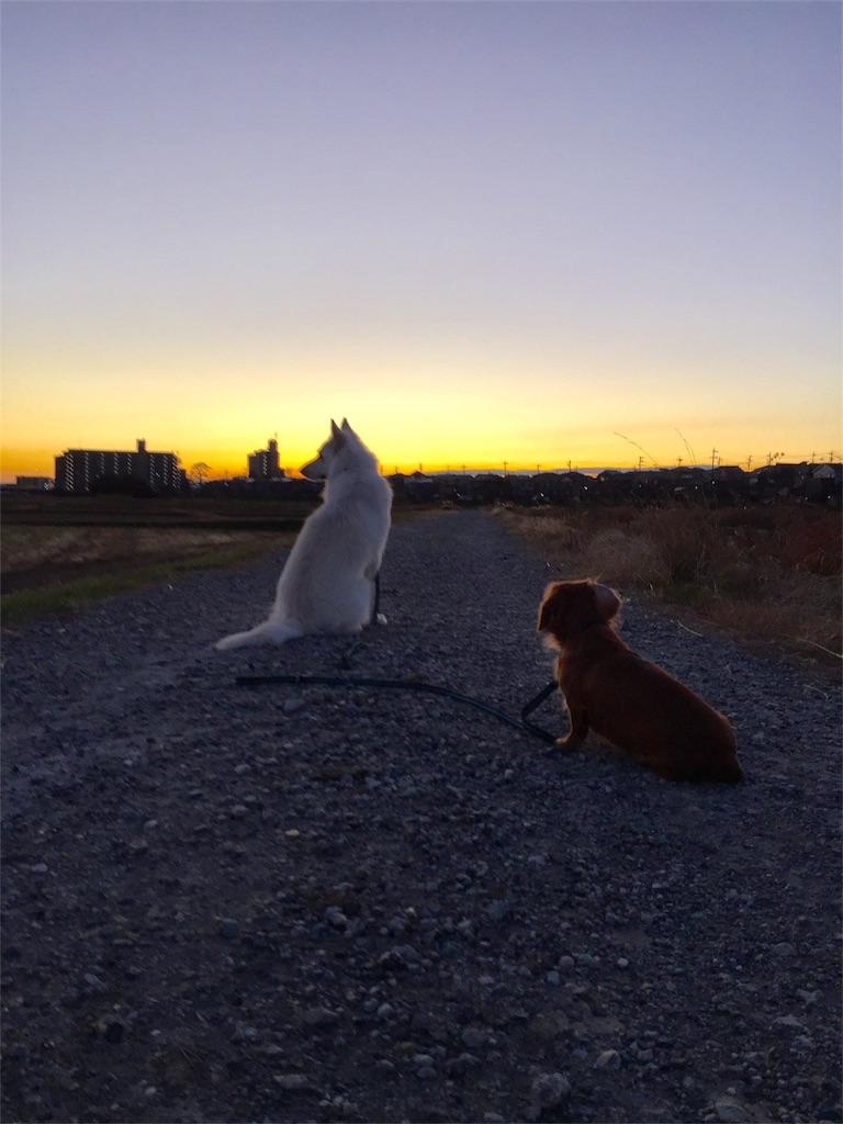 f:id:Lien0927:20181231200349j:image f:id:Lien0927:20181231200349j:image