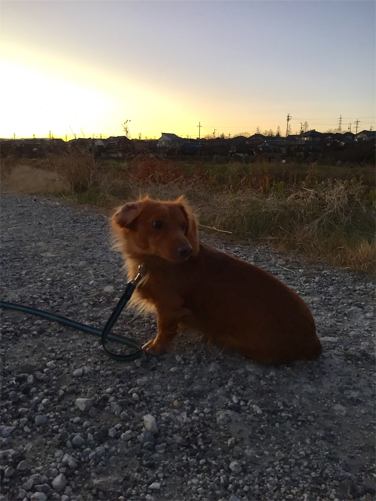 f:id:Lien0927:20181231200353j:image f:id:Lien0927:20181231200353j:image