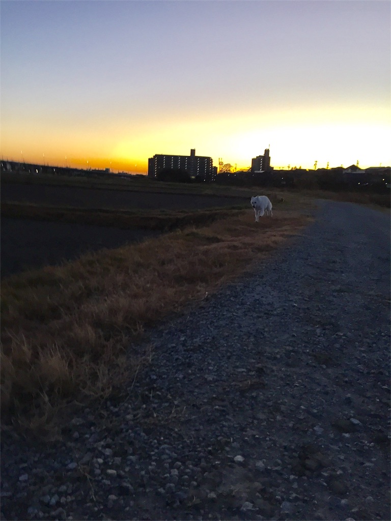 f:id:Lien0927:20181231200702j:image f:id:Lien0927:20181231200702j:image