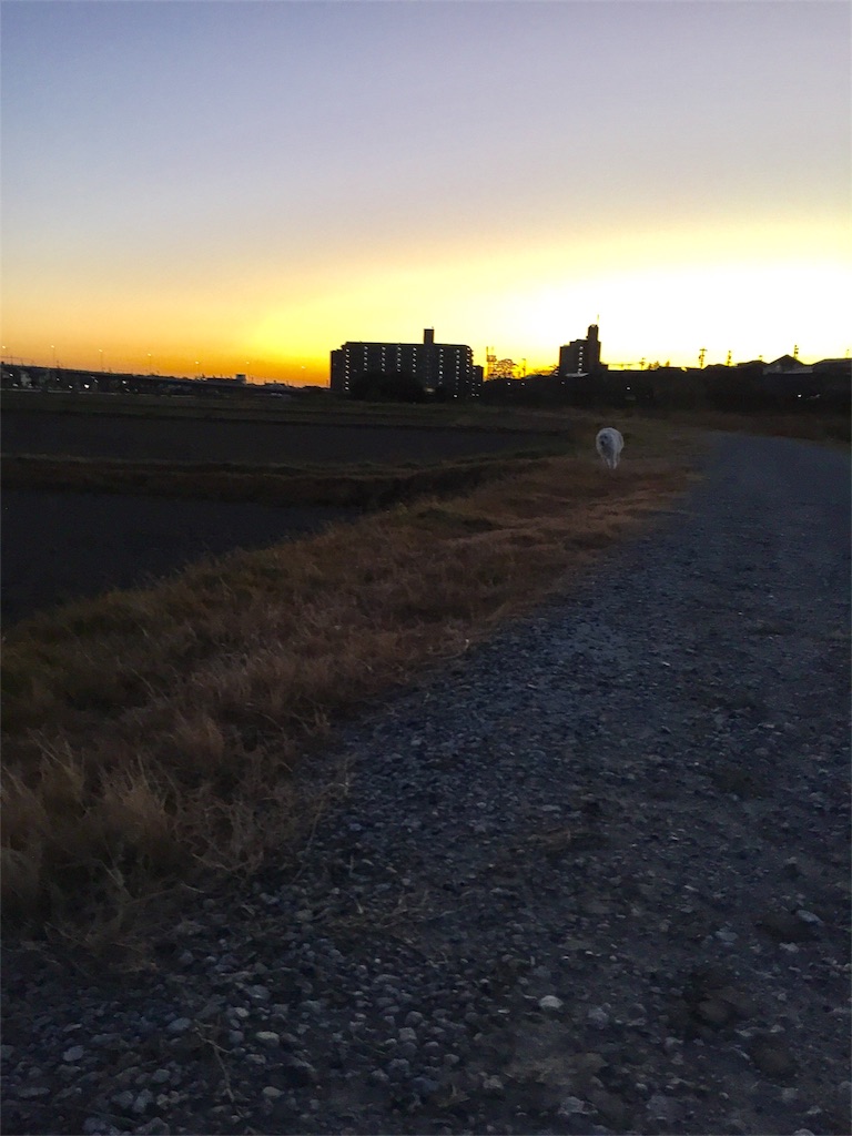 f:id:Lien0927:20181231200706j:image f:id:Lien0927:20181231200706j:image