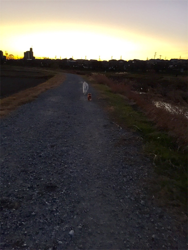 f:id:Lien0927:20181231200713j:image f:id:Lien0927:20181231200713j:image