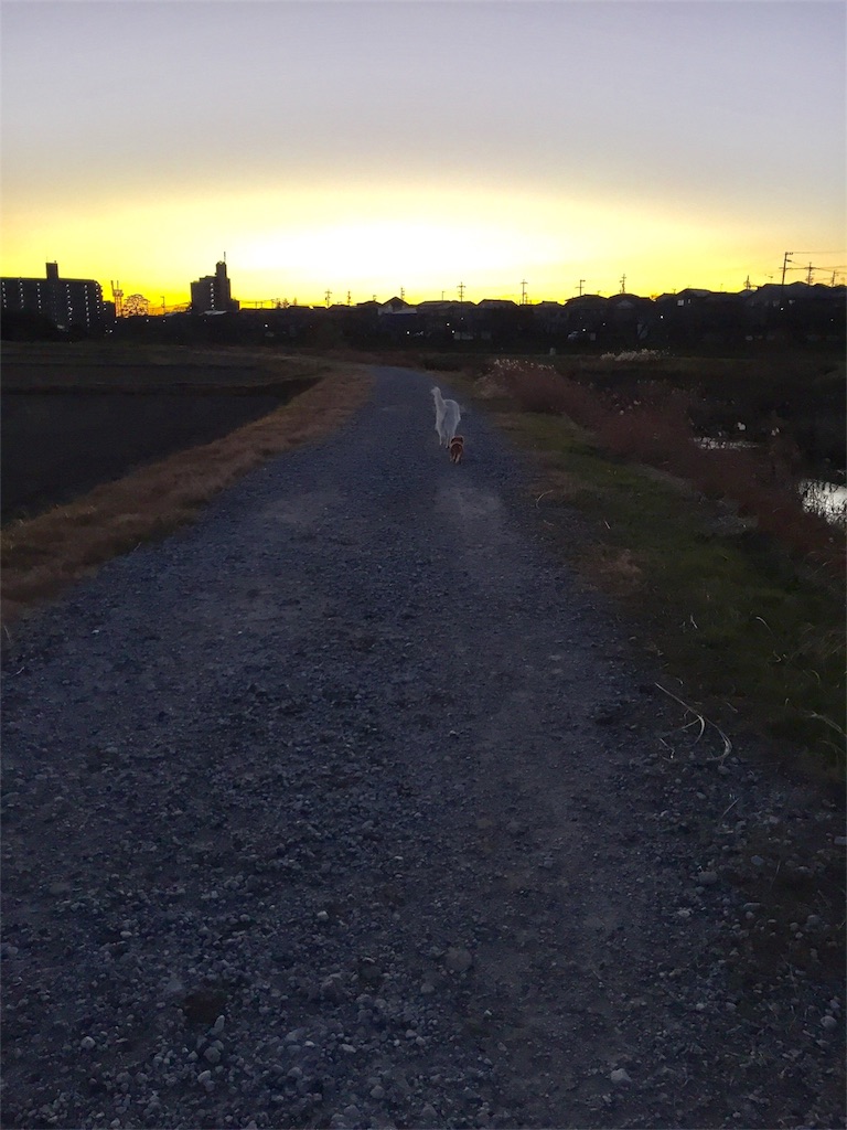 f:id:Lien0927:20181231200717j:image f:id:Lien0927:20181231200717j:image