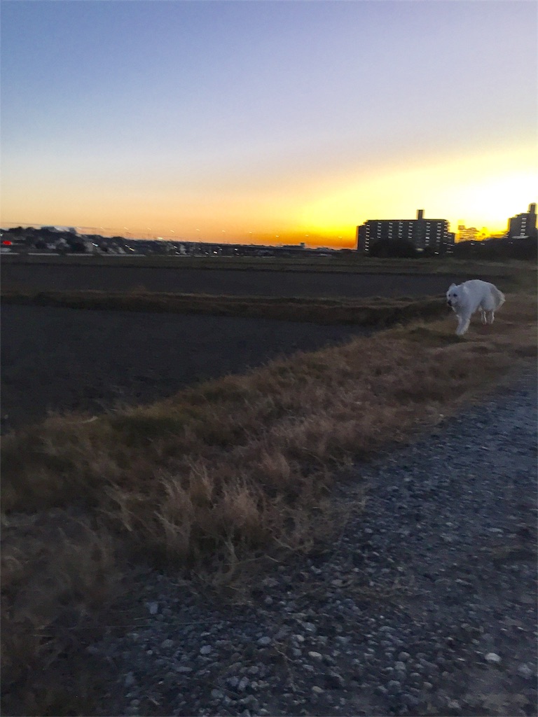 f:id:Lien0927:20181231200722j:image f:id:Lien0927:20181231200722j:image