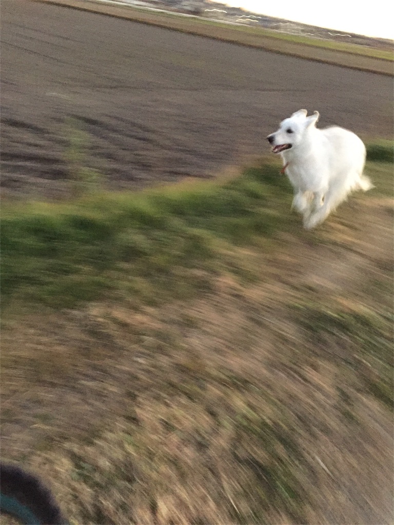 f:id:Lien0927:20181231200920j:image f:id:Lien0927:20181231200920j:image