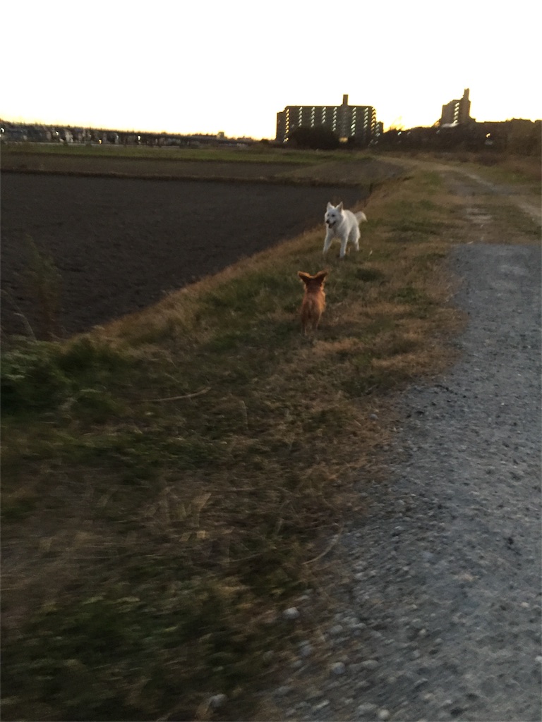 f:id:Lien0927:20181231200925j:image f:id:Lien0927:20181231200925j:image