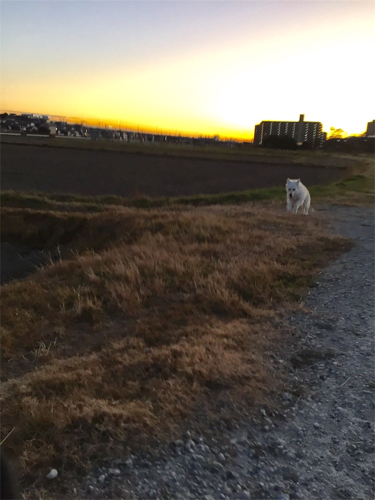 f:id:Lien0927:20181231200928j:image f:id:Lien0927:20181231200928j:image