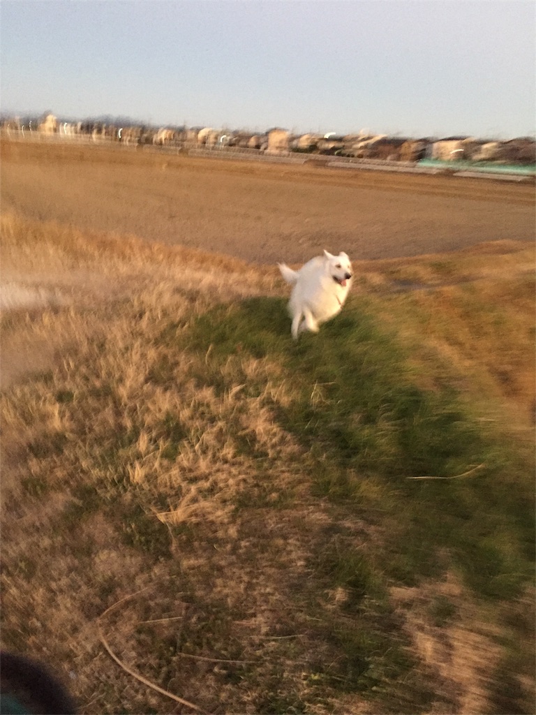 f:id:Lien0927:20181231200932j:image f:id:Lien0927:20181231200932j:image