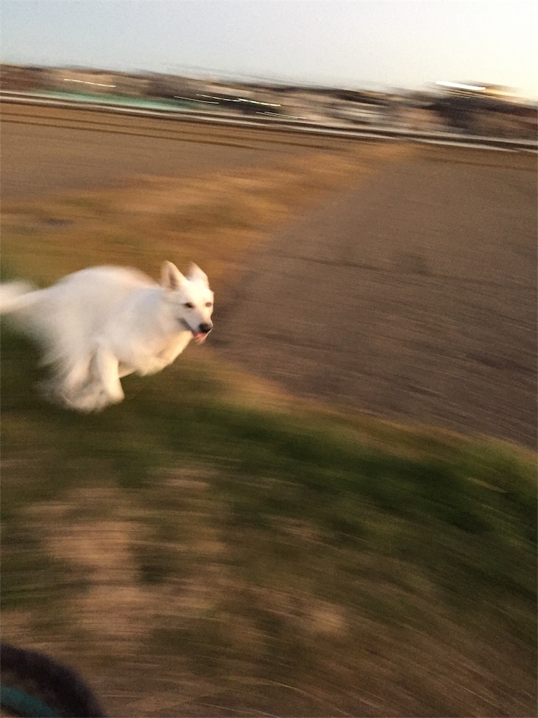 f:id:Lien0927:20181231200936j:image f:id:Lien0927:20181231200936j:image