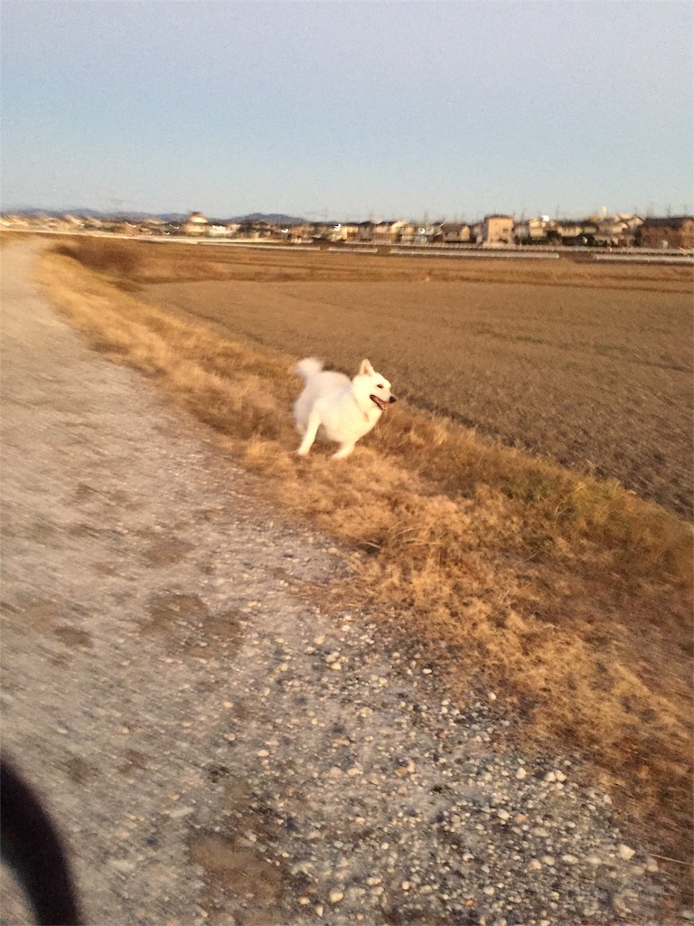 f:id:Lien0927:20181231200939j:image f:id:Lien0927:20181231200939j:image